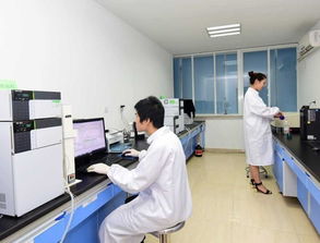 旬陽初 高中生學子及家長注意啦 西北地區全日制消防工程專業,超高薪就業特招開始啦