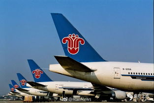 襄陽青年請(qǐng)注意 南方航空招飛啟動(dòng)，翱翔藍(lán)天夢(mèng)想觸手可及