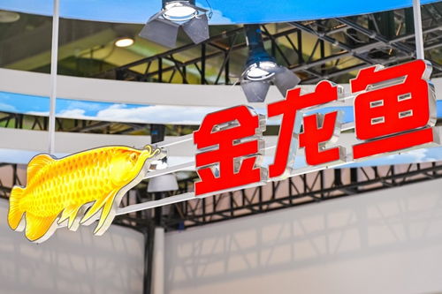 計算機軟件技術開發 驅動產業變革與創新的核心引擎